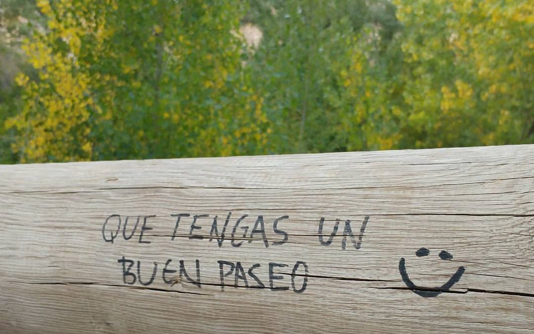 Tu camino